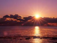 Á°À¤¡¦²áµîÀ¤¥»¥é¥Ô¡¼ Á°À¤¡¦²áµîÀ¤¥»¥é¥Ô¡¼